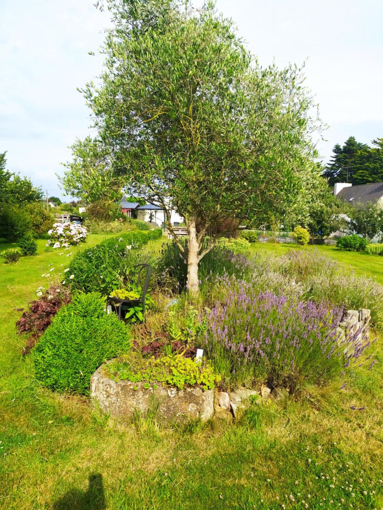 Maison au centre de Camazen Pludual Extérieur photo